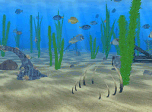 3D screensaver screenshot